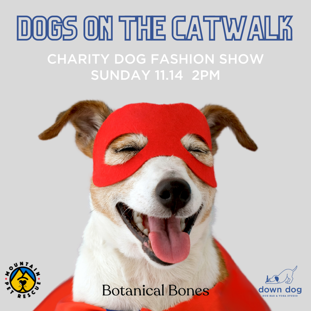 11/14-Dogs on the Catwalk! Mountain Rescue Asheville